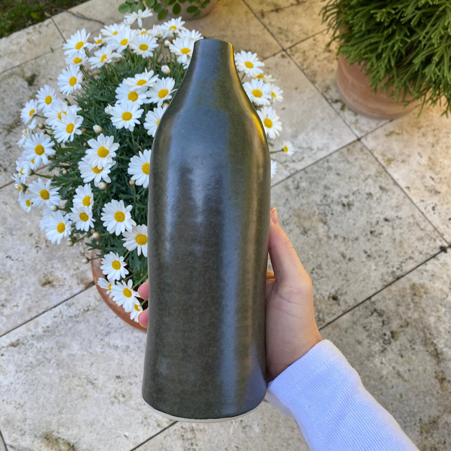 VERT-SÉPIA, vase