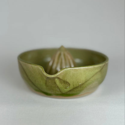 Kiwi, presse-agrumes